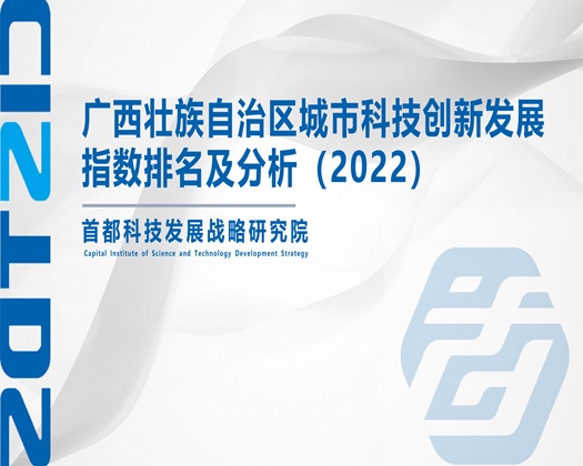 国产男女羞羞视频【成果发布】广西壮族自治区城市科技创新发展指数排名及分析（2022）